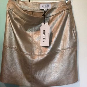 shimmery skirt